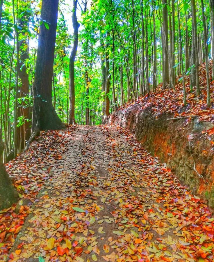 Boo Kirinda Holiday Resort Badulla Bagian luar foto